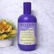 Відтінковий шампунь для знебарвленого або сивого волосся Inebrya Blondesse No-Yellow Shampoo 300 мл 2873033913 фото