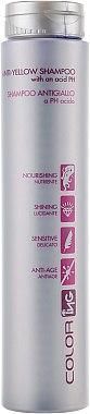 Антижовтий шампунь &mdash; ING Professional Color-ING Anti Yellow Shampoo, 250 мл 1125395252 фото