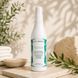 Нормализующий спрей для жирной кожи головы и перхоти Paul Rivera Depurize Normalizing Spray, 150 мл 3100922374 фото