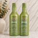 Бессульфатный шампунь и кондиционер, Argan Oil для жирной кожи головы 2*1000 2472497745 фото